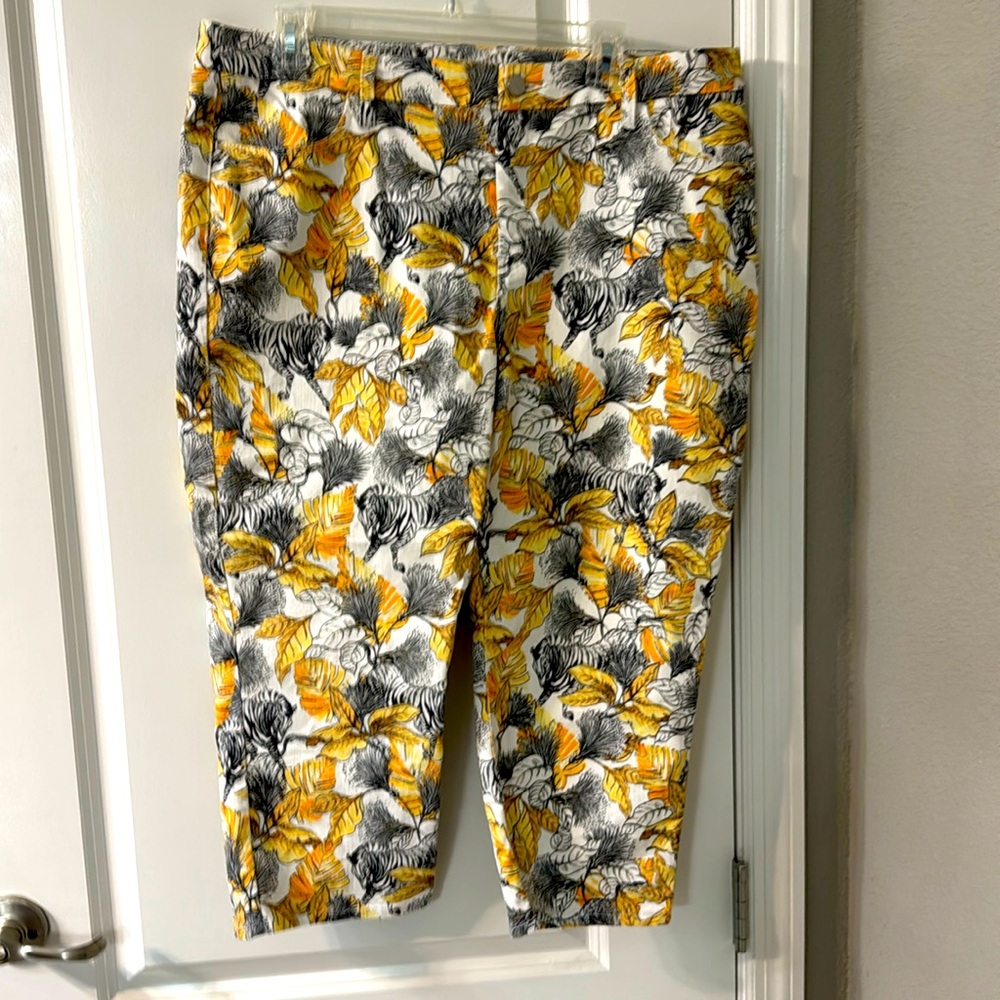 Chicos Capri pants